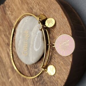 Alex and Ani energy technology charm bracelet B2835‎